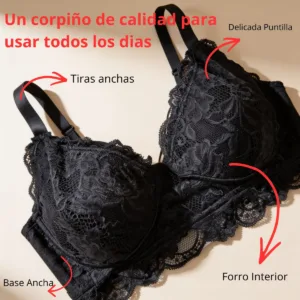 Conjunto Corpiño Vedetina Puntilla (art 2032) Talle 100 al 130: imagen 2